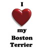 Thumbs/tn_new heart boston terrier.jpg